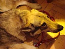 Resize of DSC06258.JPG